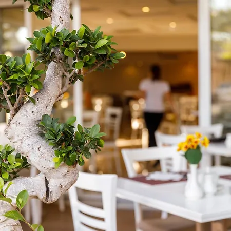 호텔 Western Plaza Rhodes City